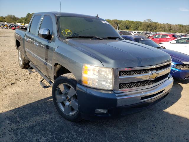 CHEVROLET SILVERADO 2011 3gcpcse01bg376599