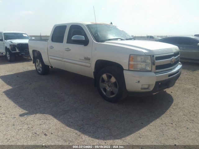 CHEVROLET SILVERADO 1500 2011 3gcpcse01bg402473