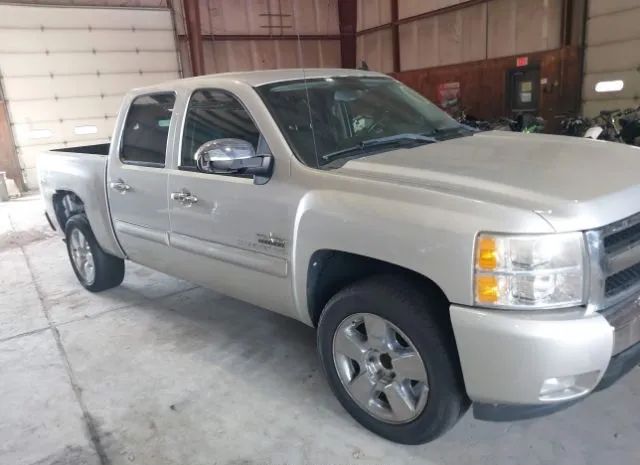 CHEVROLET SILVERADO 1500 2011 3gcpcse01bg403011