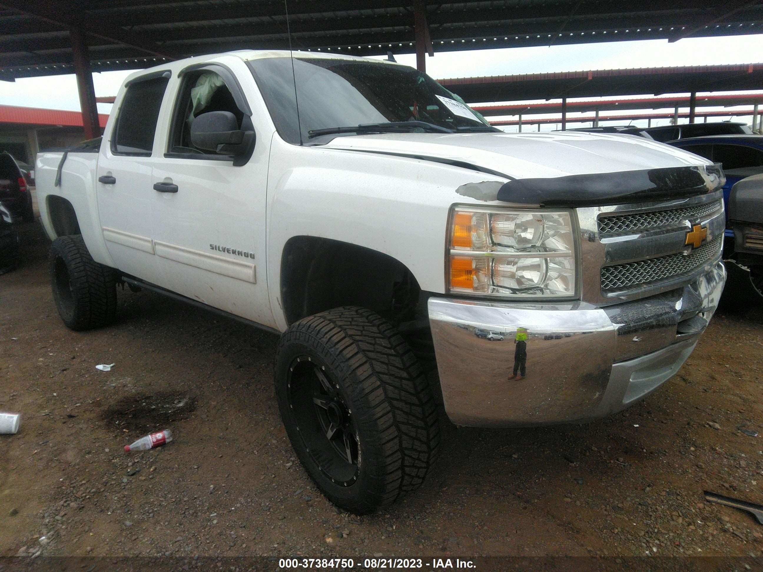 CHEVROLET SILVERADO 2013 3gcpcse01dg161534