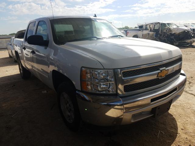 CHEVROLET SILVERADO 2013 3gcpcse01dg305034