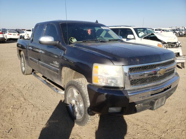 CHEVROLET SILVERADO 2011 3gcpcse02bg204047