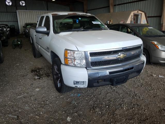 CHEVROLET SILVERADO 2011 3gcpcse02bg369340