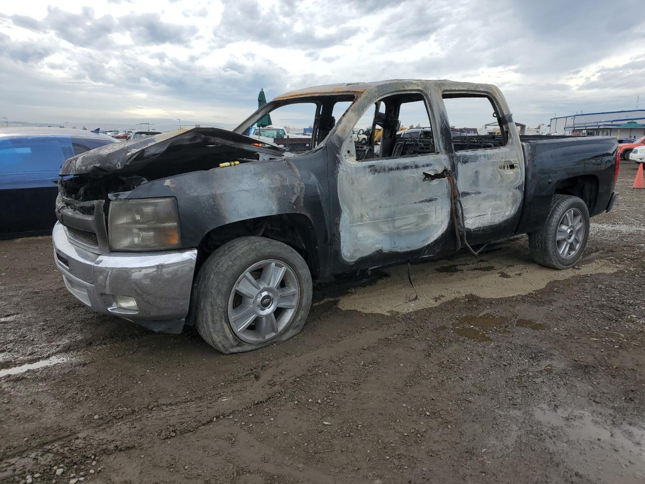 CHEVROLET SILVERADO 2012 3gcpcse02cg215972