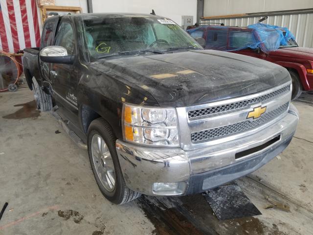 CHEVROLET SILVERADO 2013 3gcpcse02dg142877