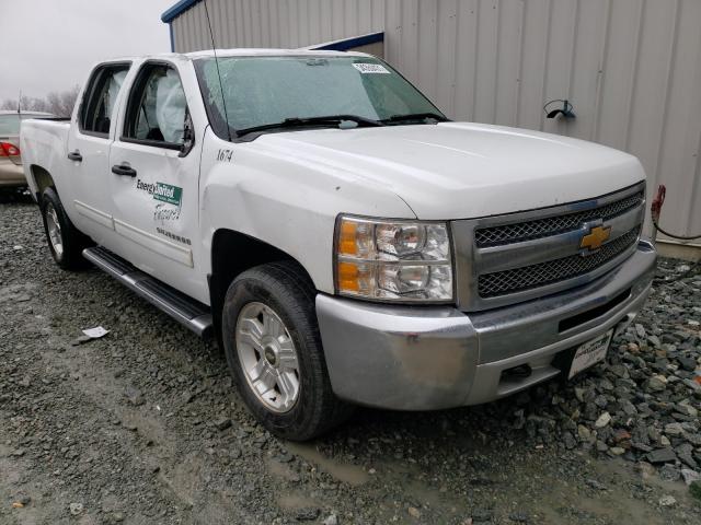 CHEVROLET SILVERADO 2013 3gcpcse02dg181954