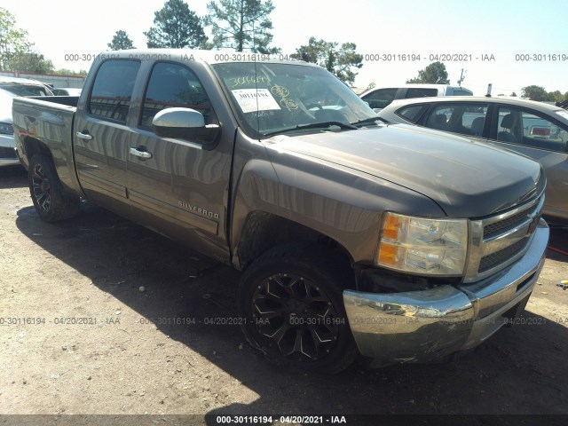 CHEVROLET SILVERADO 1500 2013 3gcpcse02dg264140