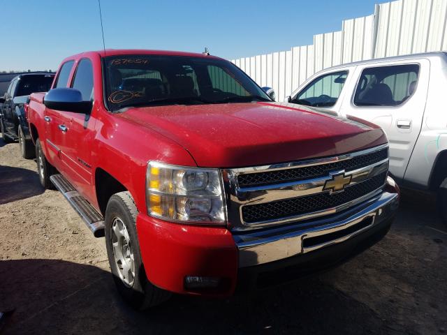 CHEVROLET SILVERADO 1500 2011 3gcpcse03bg137054