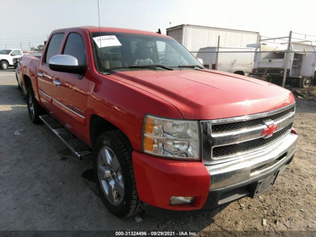 CHEVROLET SILVERADO 1500 2011 3gcpcse03bg183029