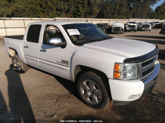 CHEVROLET SILVERADO 1500 2011 3gcpcse03bg209130