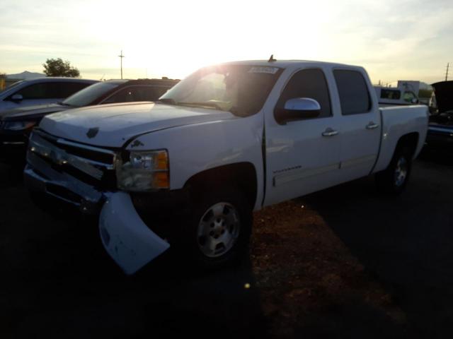 CHEVROLET SILVERADO 2011 3gcpcse03bg296091