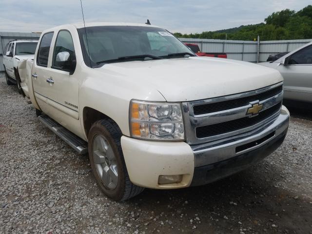 CHEVROLET SILVERADO 2011 3gcpcse03bg336623