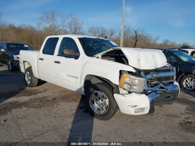 CHEVROLET SILVERADO 1500 2011 3gcpcse03bg406850