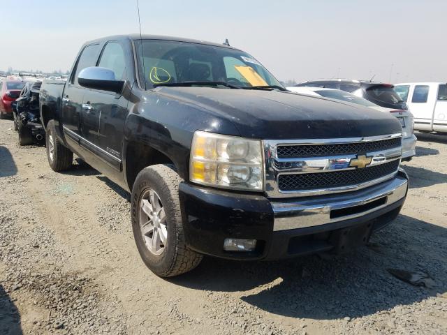 CHEVROLET SILVERADO 2011 3gcpcse04bg159189