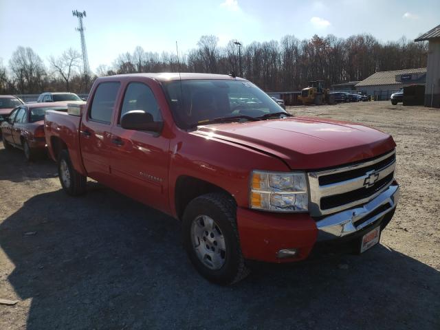 CHEVROLET SILVERADO 2011 3gcpcse04bg199448