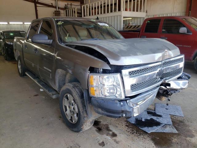 CHEVROLET SILVERADO 2013 3gcpcse04dg103594