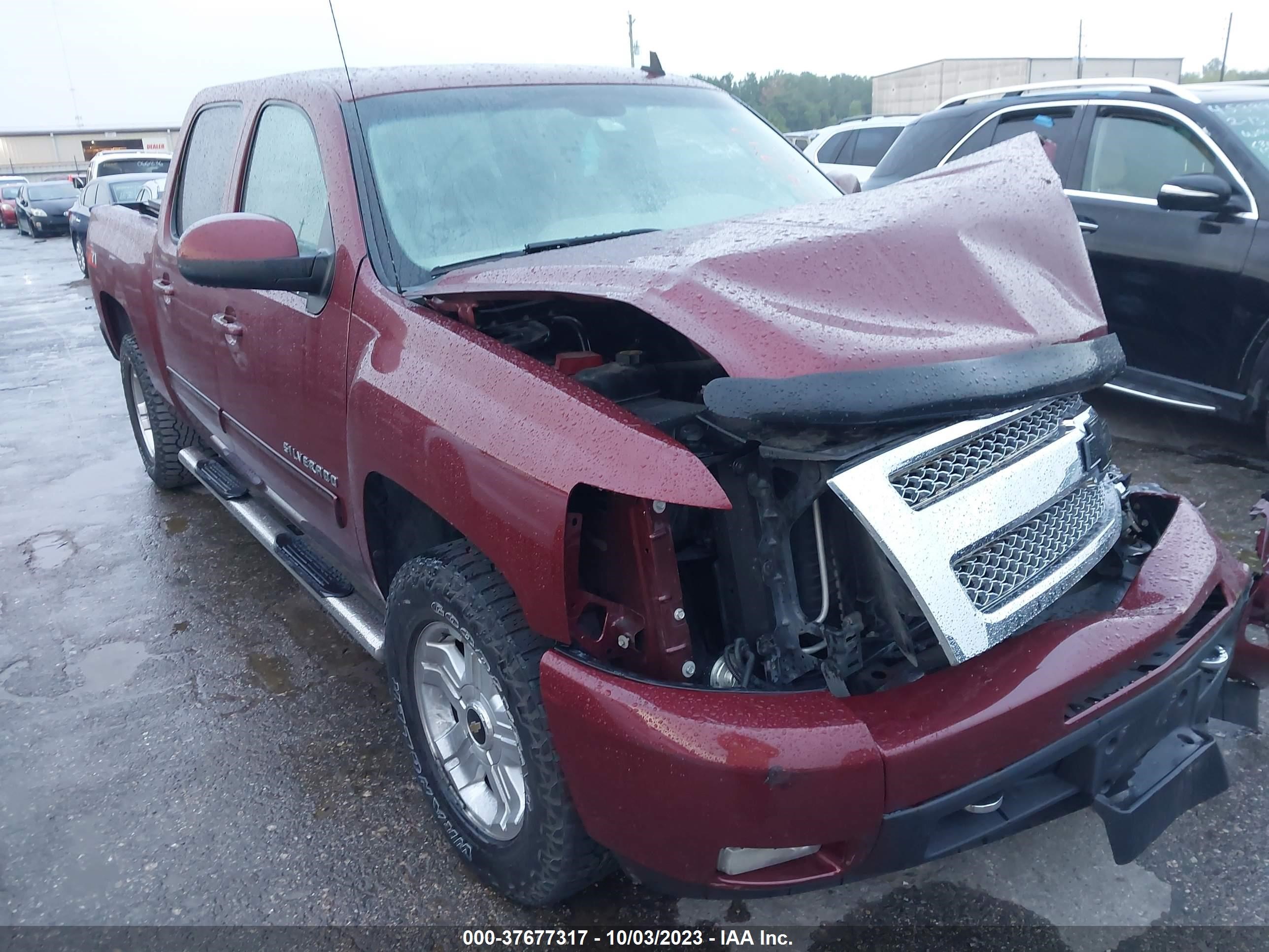 CHEVROLET SILVERADO 2013 3gcpcse04dg264981