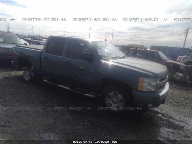 CHEVROLET SILVERADO 1500 2011 3gcpcse05bg142126