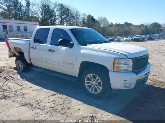 CHEVROLET SILVERADO 1500 2011 3gcpcse05bg252738