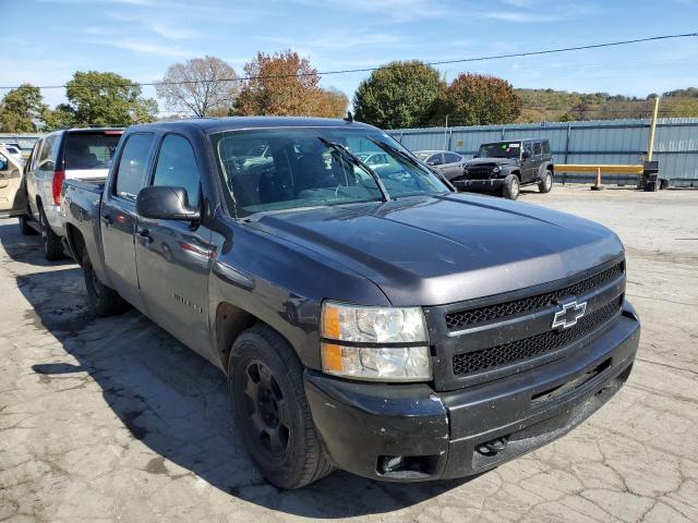 CHEVROLET SILVERADO 2011 3gcpcse05bg269605