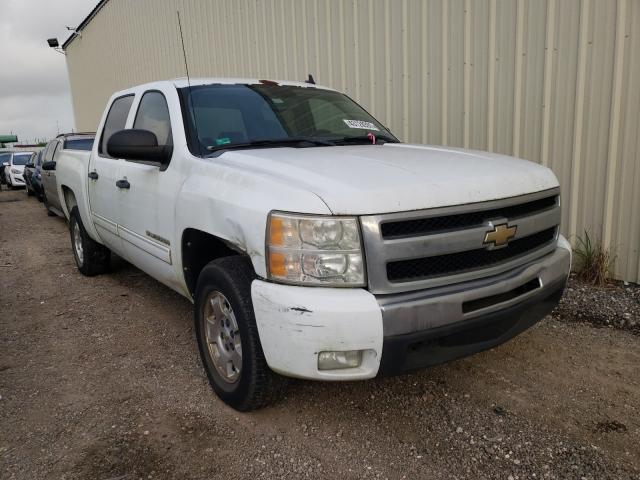 CHEVROLET SILVERADO 2011 3gcpcse05bg311559