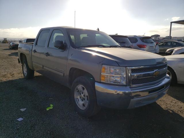 CHEVROLET SILVERADO 2013 3gcpcse06dg229665