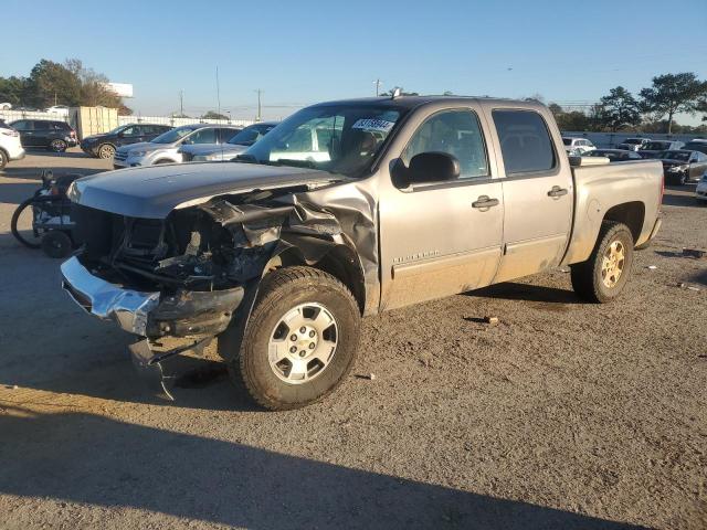 CHEVROLET SILVERADO 2013 3gcpcse06dg260253