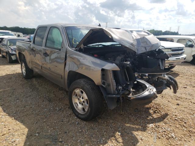 CHEVROLET SILVERADO 2013 3gcpcse06dg284438