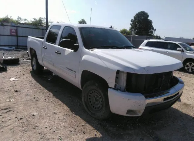 CHEVROLET SILVERADO 1500 2011 3gcpcse07bg254913