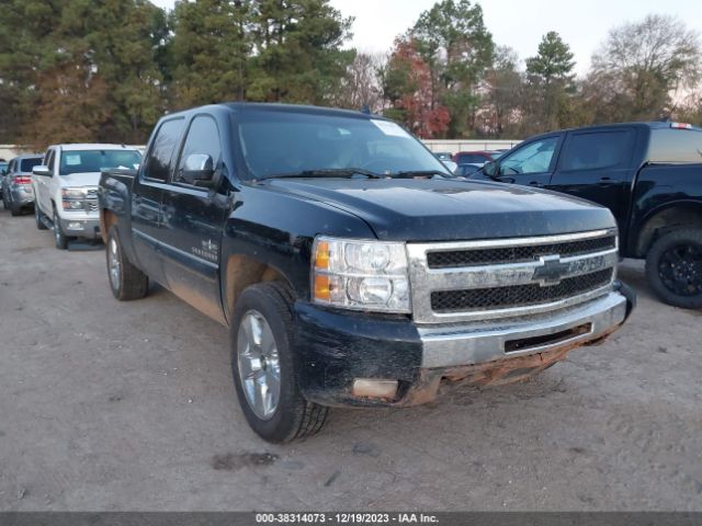 CHEVROLET SILVERADO 1500 2011 3gcpcse08bg198352