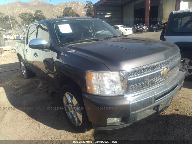 CHEVROLET SILVERADO 1500 2011 3gcpcse08bg299567