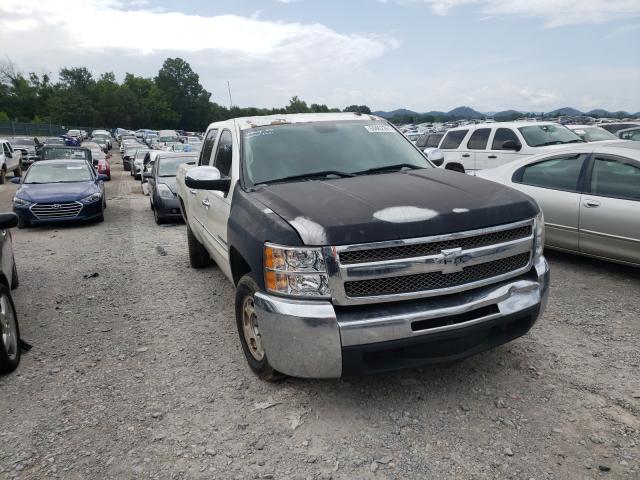 CHEVROLET SILVERADO 2011 3gcpcse08bg339792