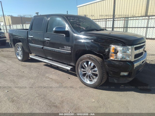 CHEVROLET SILVERADO 1500 2011 3gcpcse08bg350484