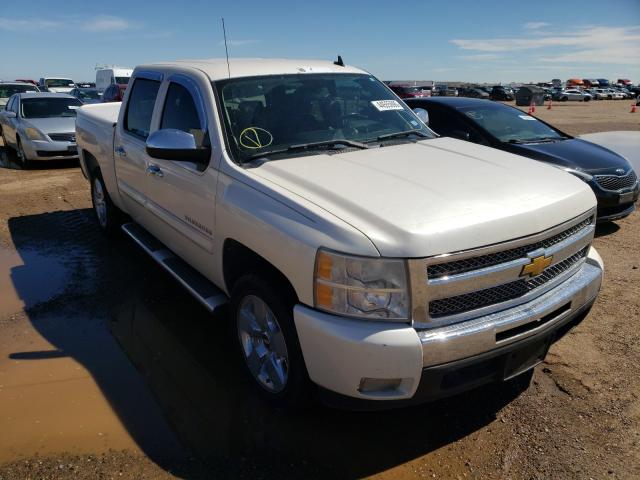 CHEVROLET SILVERADO 2011 3gcpcse08bg369441