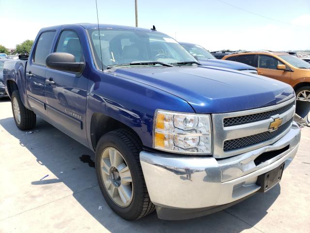 CHEVROLET SILVERADO 2013 3gcpcse09dg274373