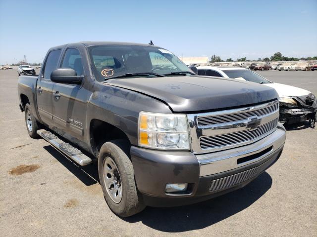 CHEVROLET SILVERADO 2011 3gcpcse0xbg138444