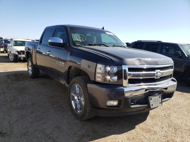 CHEVROLET SILVERADO 2011 3gcpcse0xbg157768