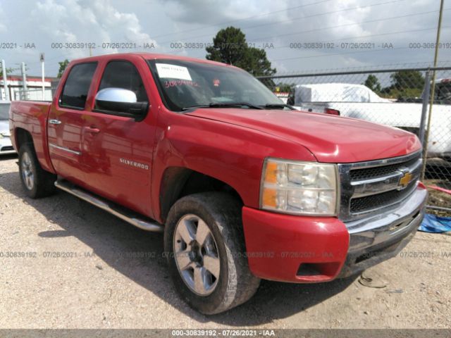 CHEVROLET SILVERADO 1500 2011 3gcpcse0xbg170813