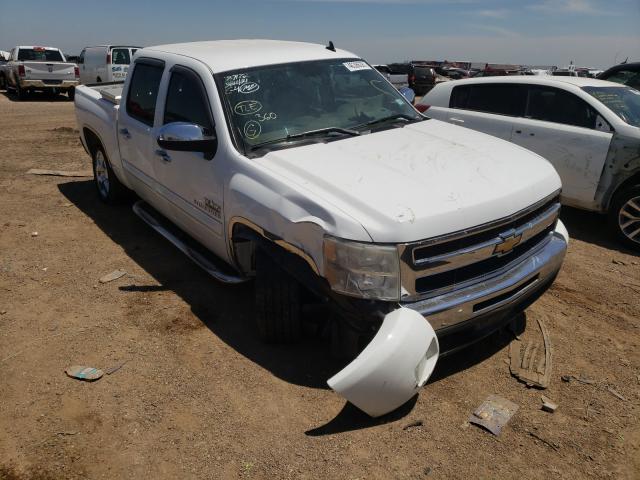 CHEVROLET SILVERADO 2011 3gcpcse0xbg258180