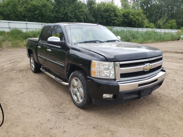 CHEVROLET SILVERADO 2011 3gcpcse0xbg310424