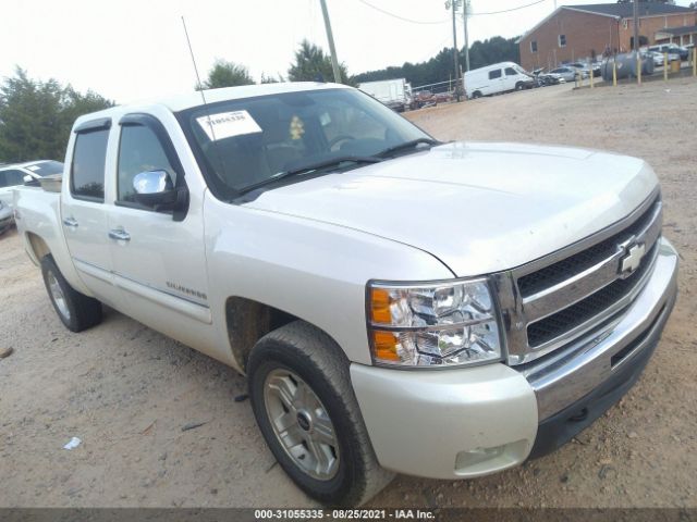 CHEVROLET SILVERADO 1500 2011 3gcpcse0xbg340796