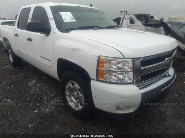 CHEVROLET SILVERADO 1500 2011 3gcpcse0xbg371465