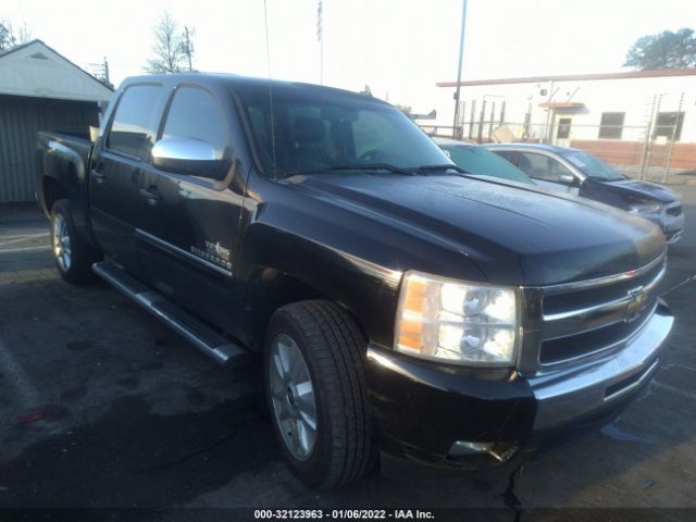 CHEVROLET SILVERADO 1500 2011 3gcpcse0xbg409082