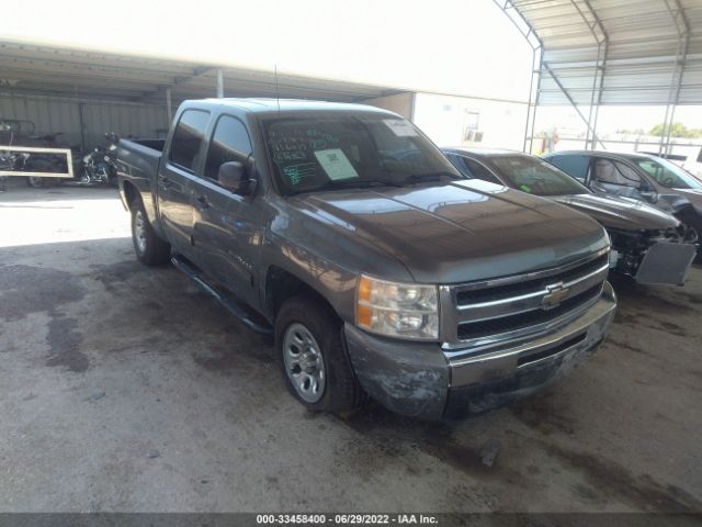 CHEVROLET SILVERADO 1500 2011 3gcpcsea7bg116619