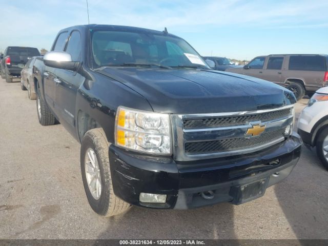 CHEVROLET SILVERADO 1500 2013 3gcpcte08dg244822