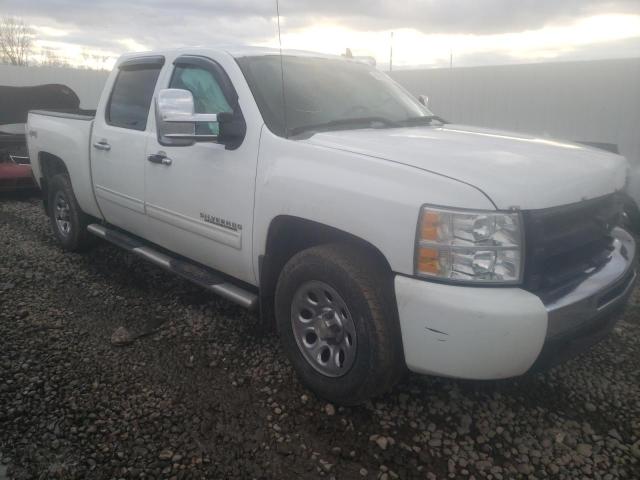 CHEVROLET SILVERADO 2011 3gcpkrea9bg271376