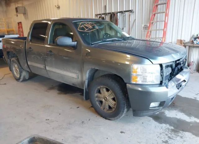 CHEVROLET SILVERADO 1500 2011 3gcpkse30bg236489