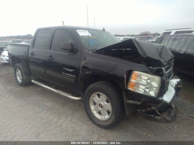 CHEVROLET SILVERADO 1500 2011 3gcpkse31bg146817