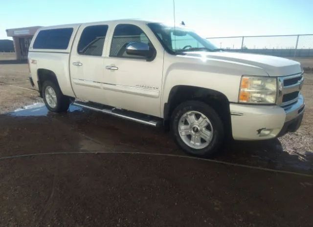 CHEVROLET SILVERADO 1500 2011 3gcpkse31bg227557