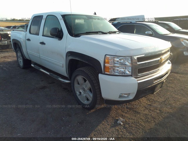 CHEVROLET SILVERADO 1500 2011 3gcpkse31bg237991